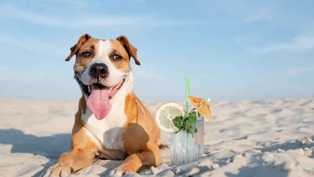 Where to Spend Labor Day Weekend in Daytona Beach