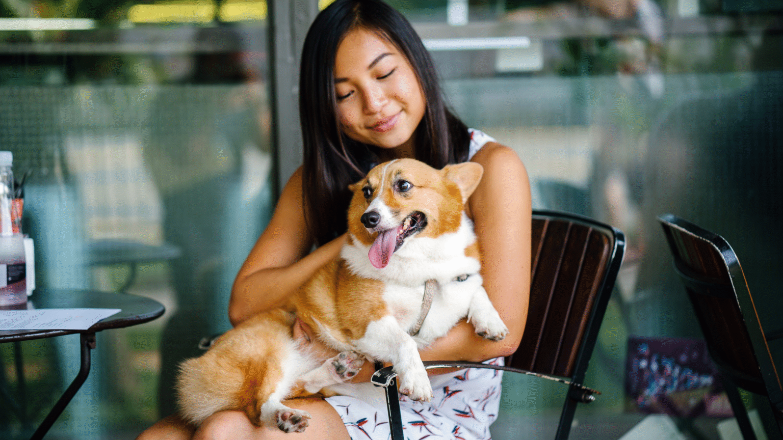 Live Music & Laid-Back Vibes: Your Coastal Guide to Where the Tunes Play and Tails Wag