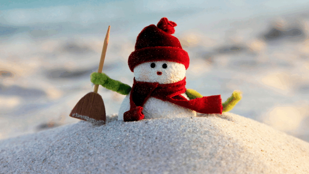  Your Must-Do Daytona Beach Holiday Adventures